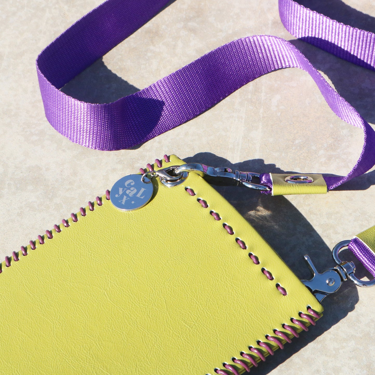 Phone Bag XVII
